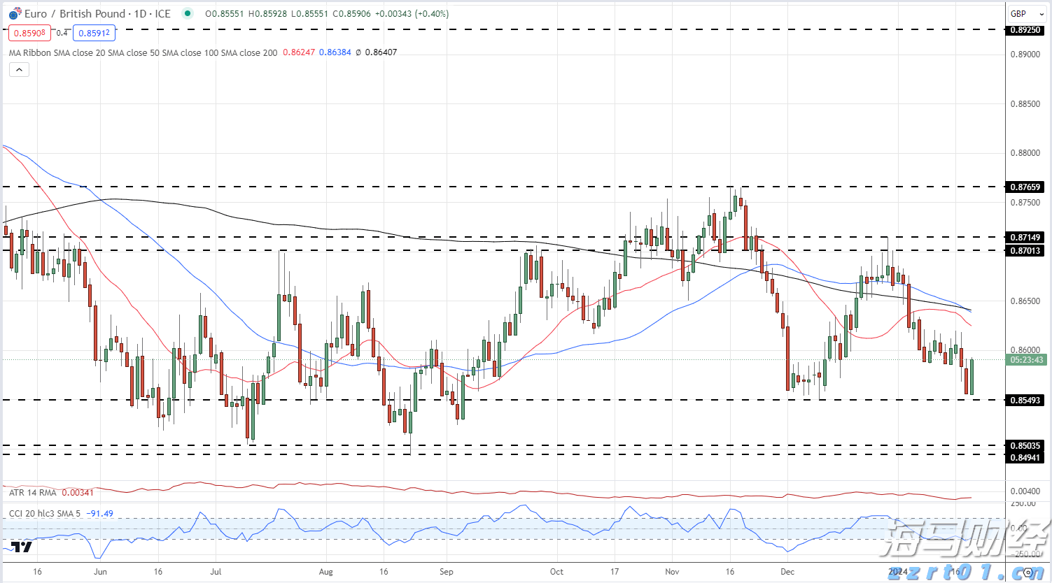 梅州市档案馆首批“荣誉馆员”亮相！