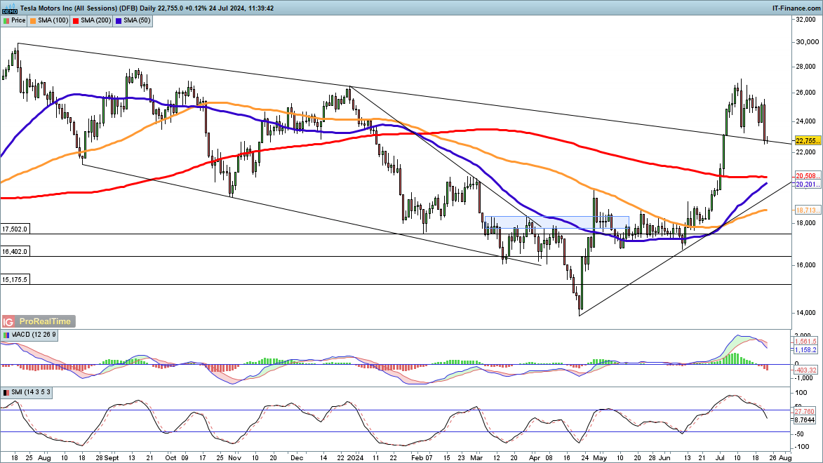 大桥海关查获一起走私濒危鱼翅出境案